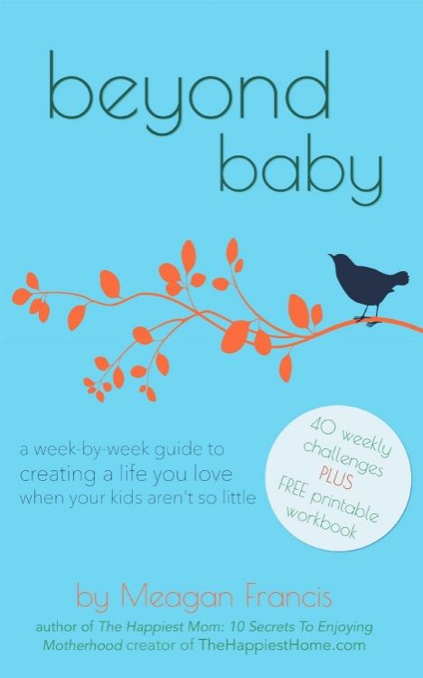 Beyond Baby by Meagan Francis: review on Cool Mom Picks