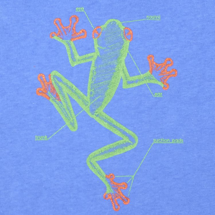 Frog anatomy science t-shirt for kids by Elemental Ts