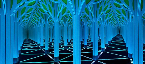 Kid Friendly Chicago Activities: The Numbers in Nature mirror maze at the Museum of Science and Industry, Chicago