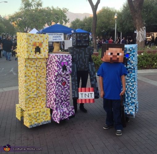 Minecraft Group Halloween Costume at Costume Works