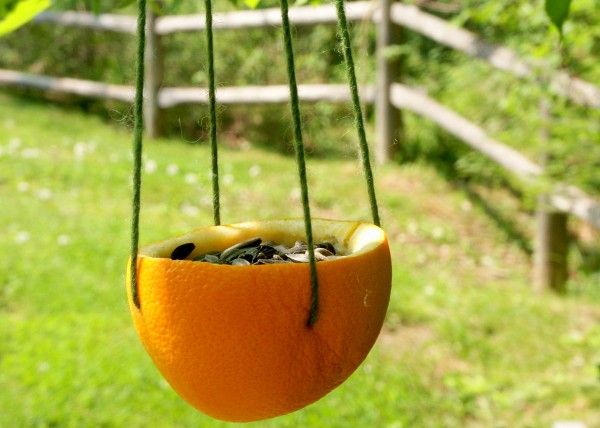 Orange peel bird feeder on Rhythm of the Home