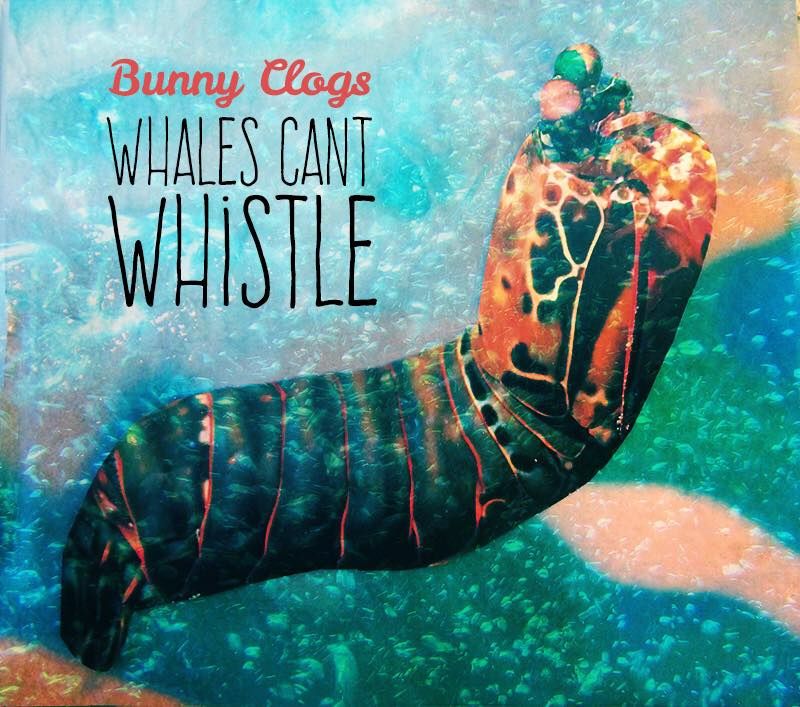 Bunny Clogs' Whales Can't Whistle album for kids