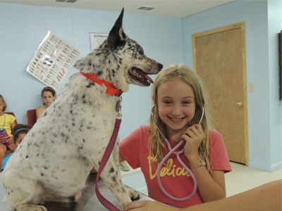 Cool summer camps for kids: Vet Camp at Cub Creek Science and Animal Camp