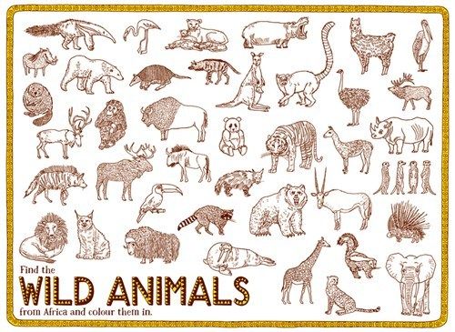 Color the world's wild animals in the MAPS Activity Book