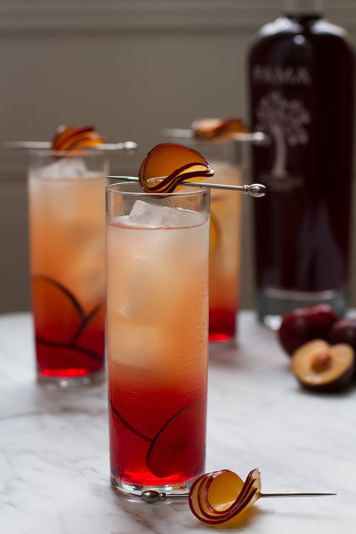 Thin slices of fresh plum make these gorgeous Plum Petals, perfect for a plum lemonade | Salt & Wind