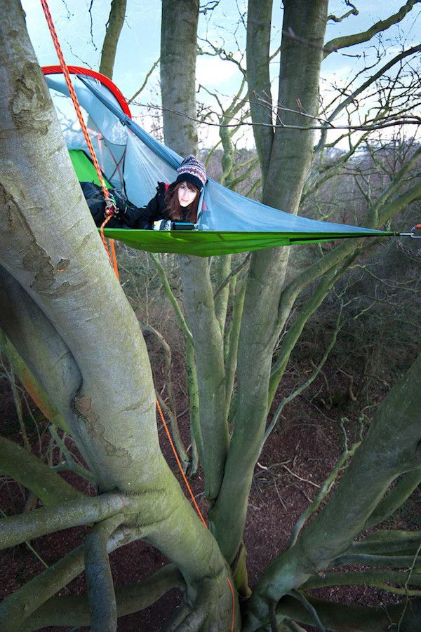 Sleep in the trees with a Tentsile tent. So cool.
