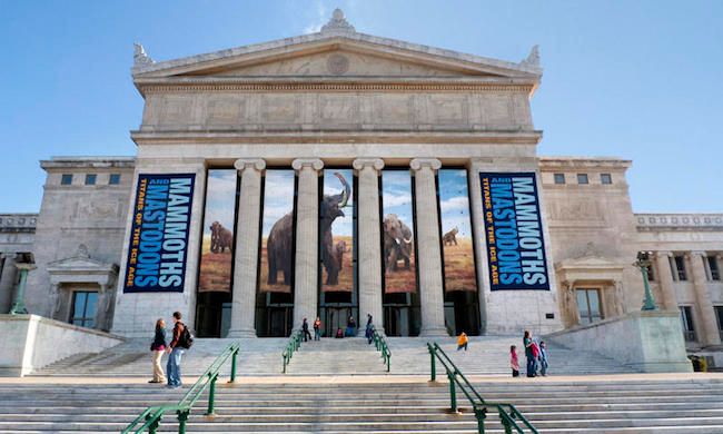 Field Museum in Chicago | end of summer fun