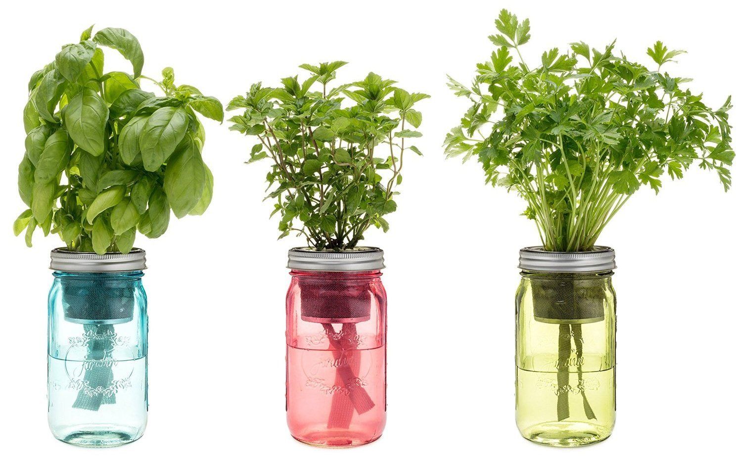Self-Watering Indoor Kitchen Herb Kit at Amazon | Best food gifts