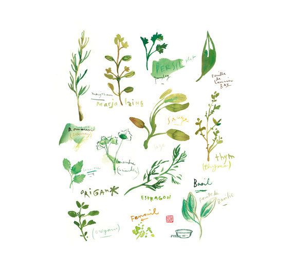 Affordable kitchen art prints: Fresh herbs | Lucileskitchen on Etsy