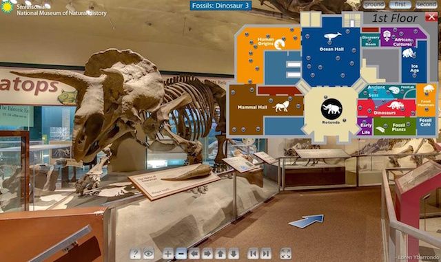 National Museum of Natural History virtual tour