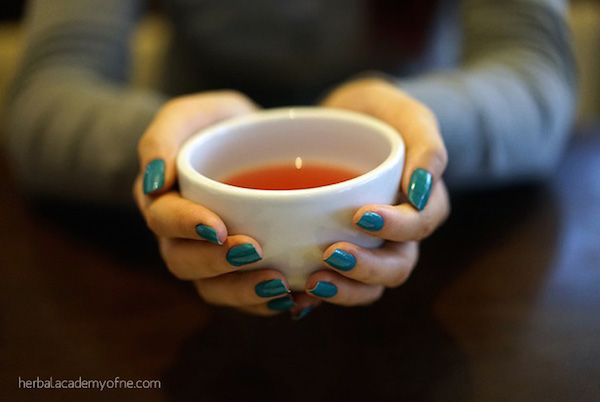 10 herbal teas you can make yourself for cold and flu season | Herbal Academy of NE