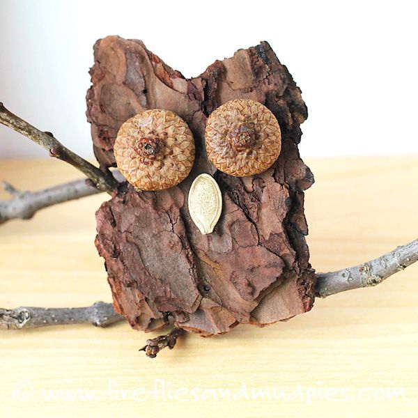 Fall nature crafts for preschoolers: tree bark owls DIY from Fireflies and Mudpies