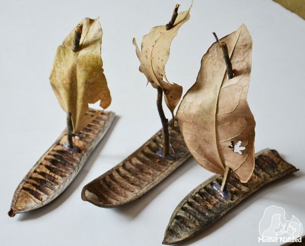 Fall nature crafts for preschoolers: seed pod boats at Mother Natured