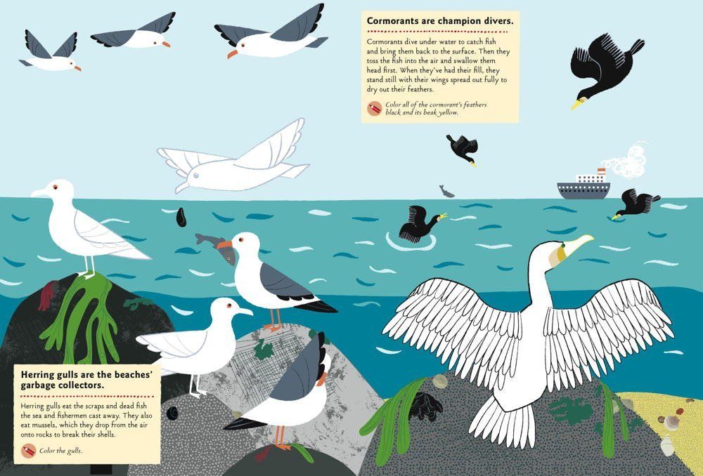 My Nature Sticker Activity Book: At the Seashore