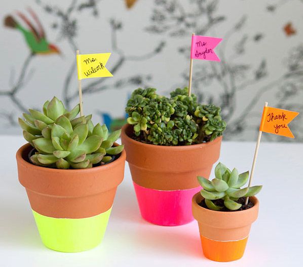 DIY Teacher gifts: Love these cool neon-dipped planters | DIY at Hello Bee 