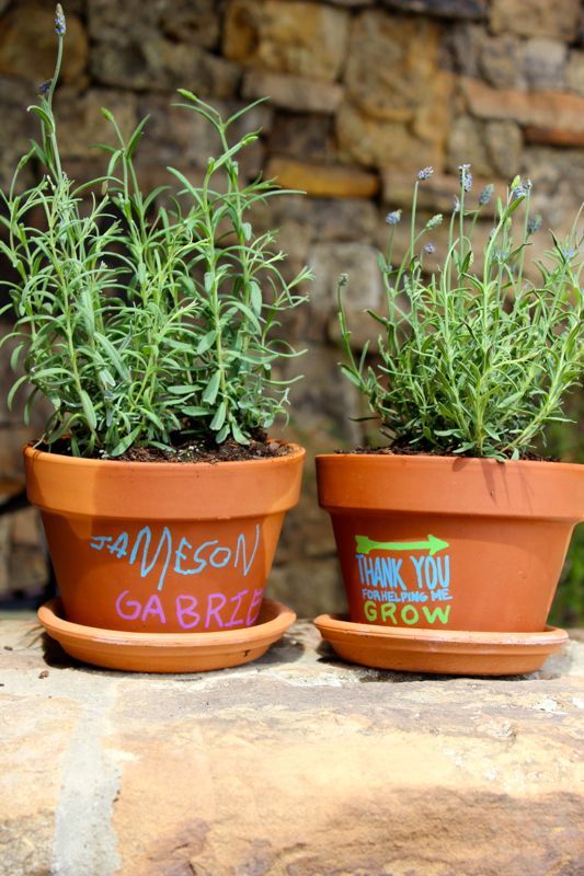DIY teacher gift idea: Love this personalized potted plant idea from J. Sorelle!
