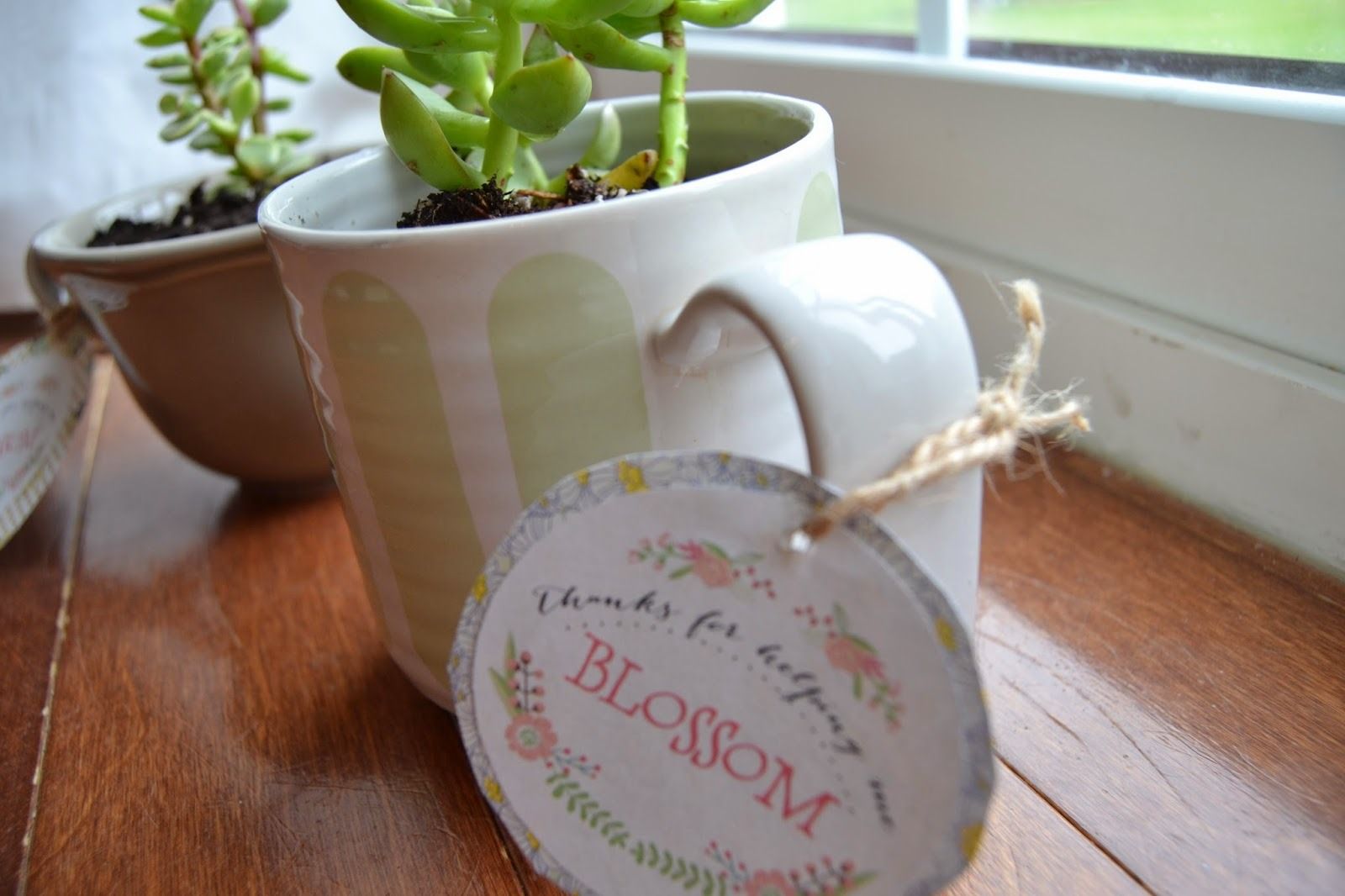 DIY Teacher gifts: A plant in a coffee mug is so clever! Free printable tags at I Heart Naptime