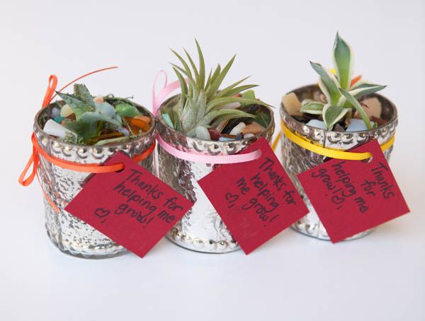 DIY teacher appreciation gifts that grow: Try a small plant with a handwritten note | via Nearly Crafty 