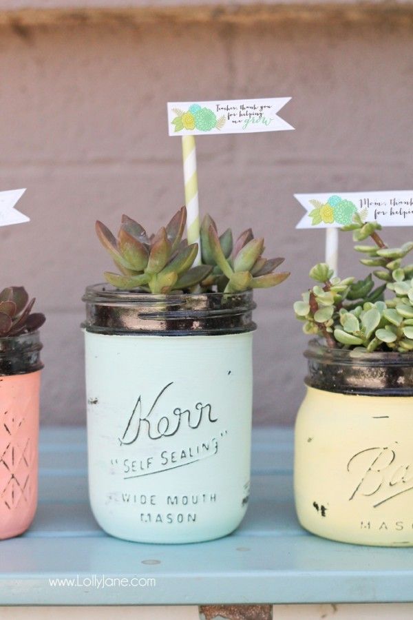 DIY Teacher gift: Painted mason jar potted plant with free printable via Lolly Jane