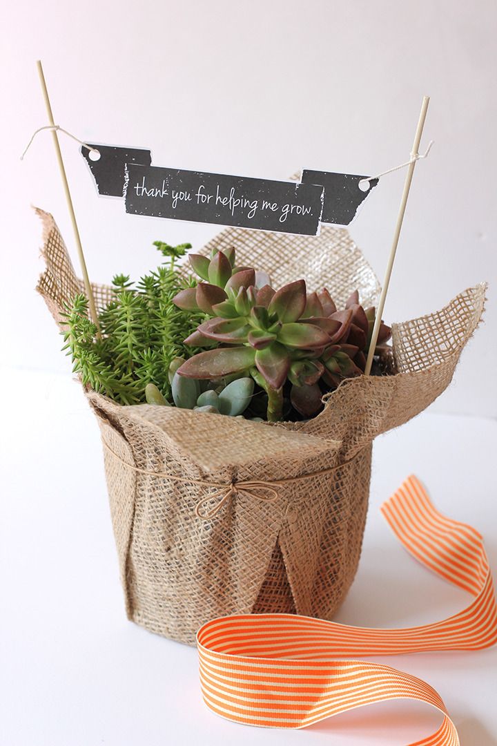 DIY Teacher gifts: Love the sophisticated look of this potted plant with free printable banner from Alice & Lois