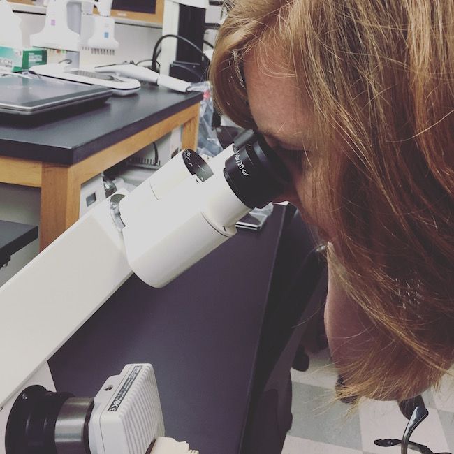 Researchers at St. Jude are currently studying retinoblastoma, cancer of the eye, among other diseases in children.