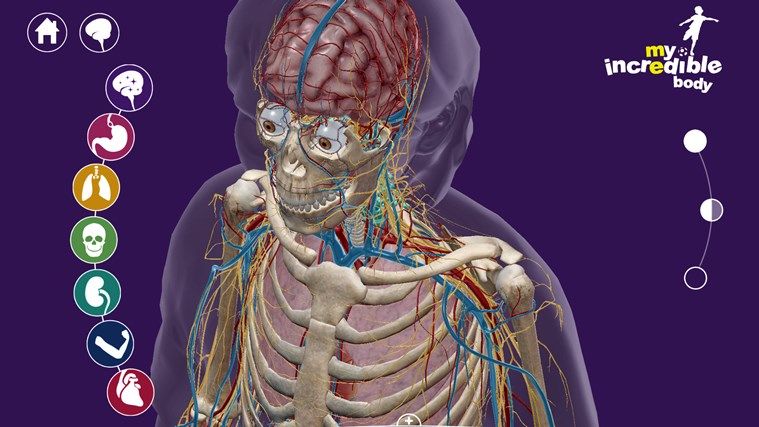 The best science apps for kids: My Incredible Body is a great intro to anatomy for older kids