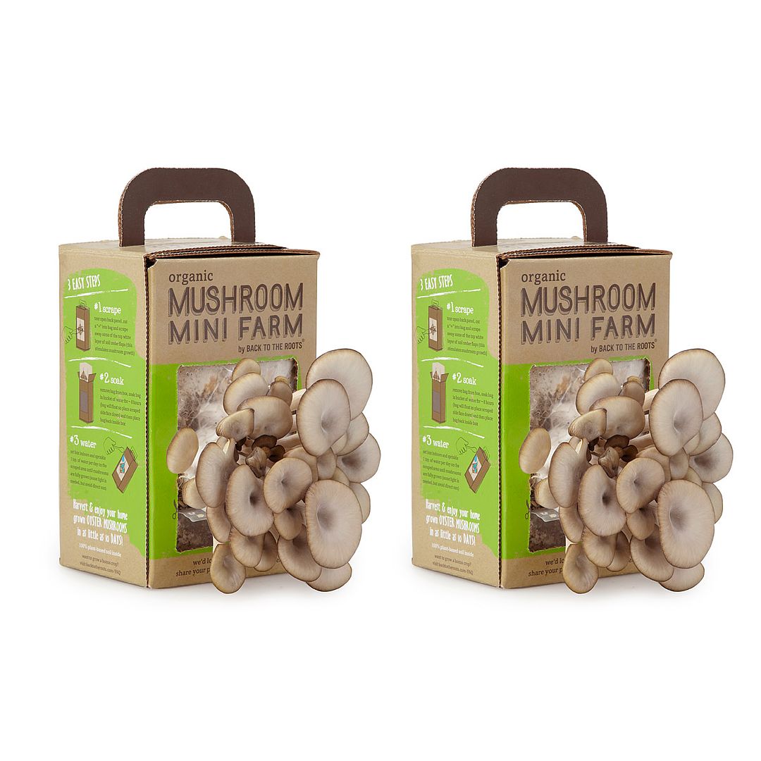 Cool Mom Eats holiday gift guide 2016: Gifts for kids in the kitchen | Grow Your Own Mushroom Kit at Uncommon Goods