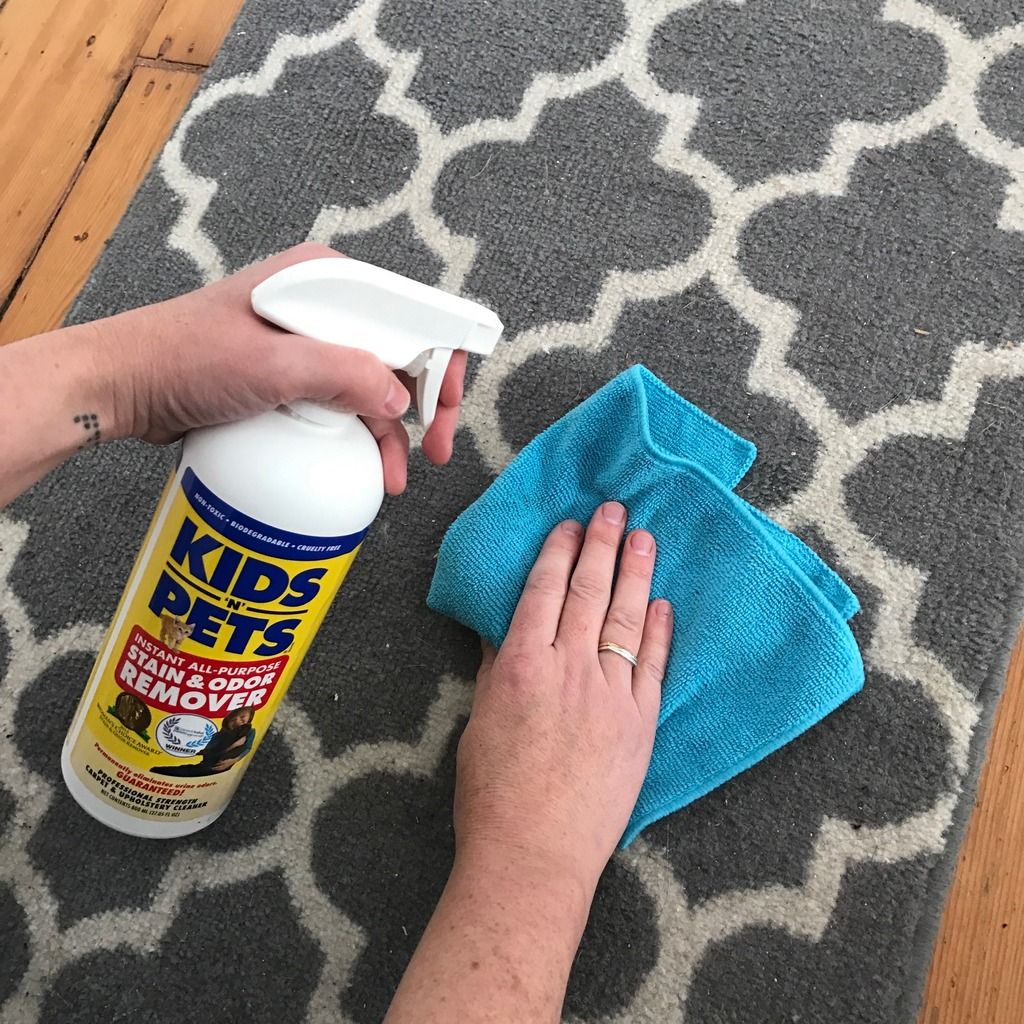 KIDS 'N' PETS all-purpose cleaner and stain remover | Cool Mom Picks