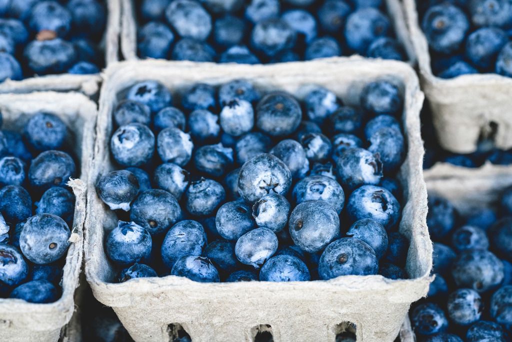 How to wash and store berries so that they stay fresh longer. Amazing! | Cool Mom Eats