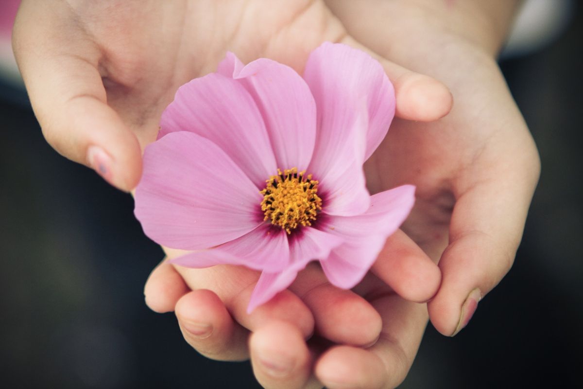 5 great pro photo tips for kids who want to get beyond selfies | Flower by Tracey Clark