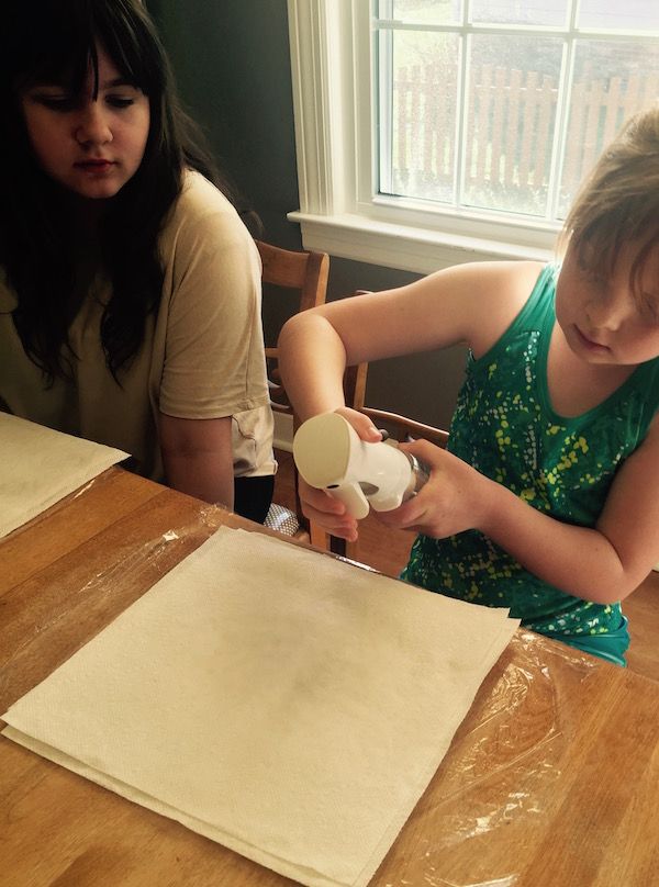 Step 1 for tie-dyed Easter eggs: wet your paper towel with water and vinegar.