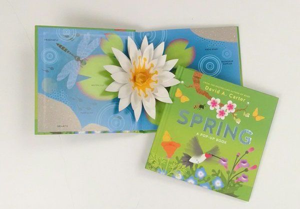 Great children's books for spring: Spring: A Pop-Up Book by David Fowler brings spring to life for your kids.