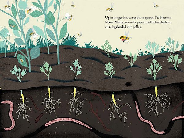 Great children's books about spring: Discover bugs in Up in the Garden, Down in the Dirt by Kate Messner and Christopher Silas Neal 