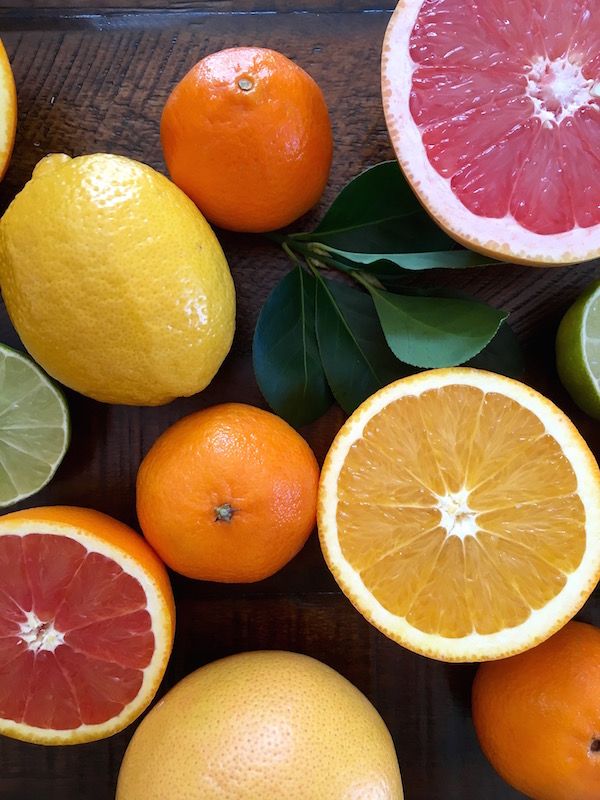 How to store different fruits—including citrus fruit—so that they last longer, all year around | Cool Mom Eats