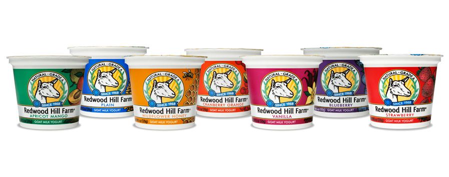 Got goat milk? If you or someone in your family has a sensitivity to cow's milk, try goat milk products like yogurt from Redwood Hill Farm | Cool Mom Eats