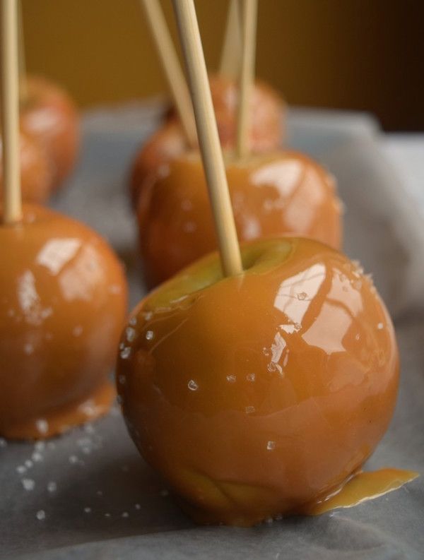 We've got a guide to apples and tons of ideas for what to do with them over on Cool Mom Eats, including making these Salted Caramel Apples at Beer Girl Cooks. Yum!