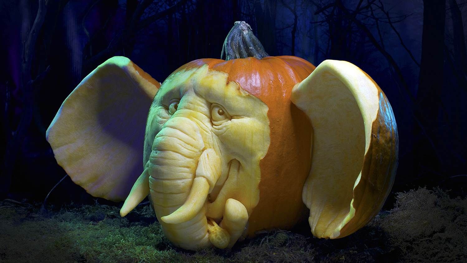 Horton Hears a Boo! in this elephant pumpkin by Villafane Studio.