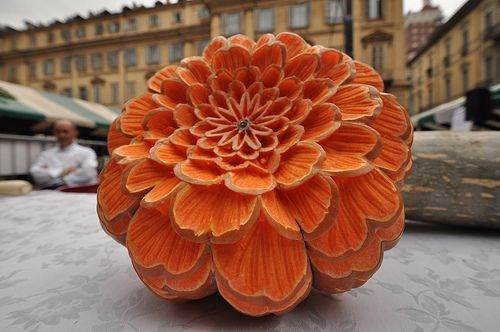 Hard to believe this flower is actually a pumpkin.