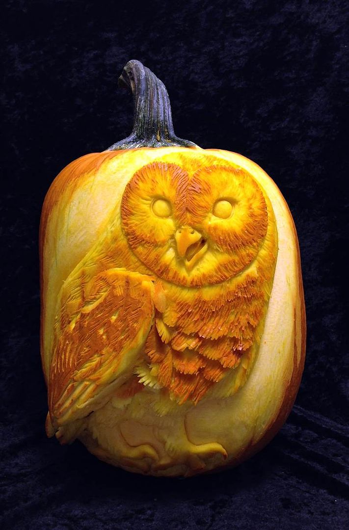 WHO loves this carved owl pumpkin by Villafane Studios?