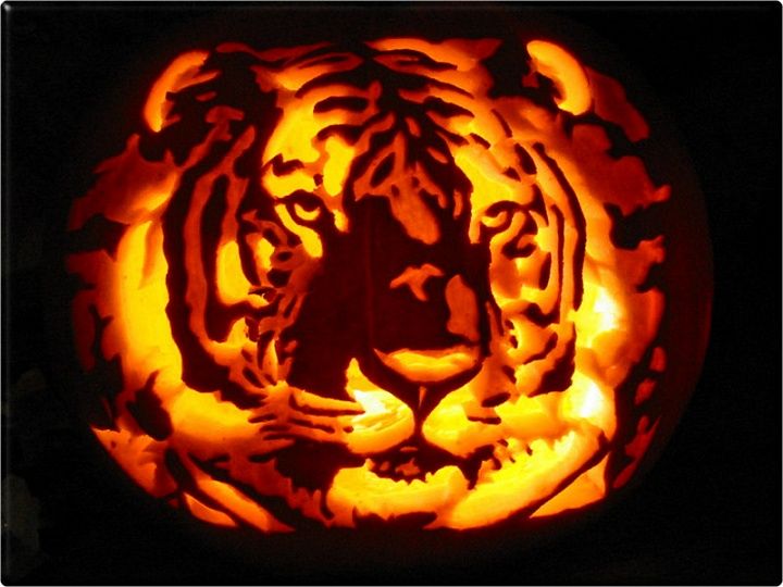 This tiger, tiger by volcanic-glass is burning bright!