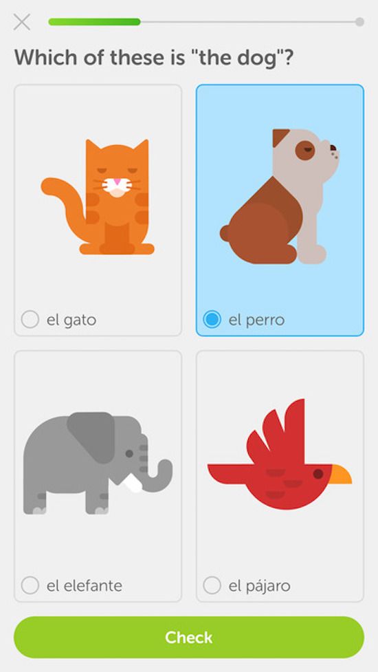 The free Duolingo app makes it fun for you and your kids to learn a foreign language.
