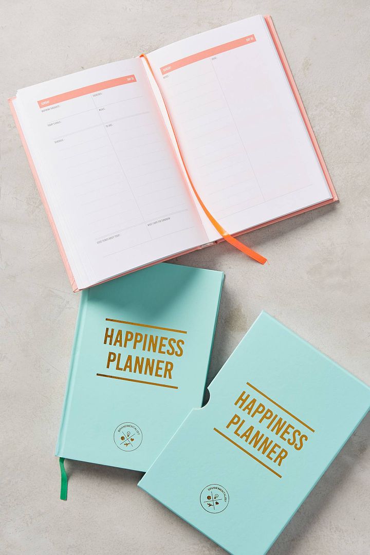 The Happiness 100-day planner: Cool new twist on inspiration and motivation for the year