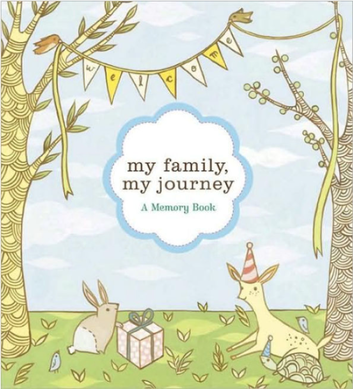 Best adoption gifts: My Family, My Journey adoption baby book by Zoe Francesca