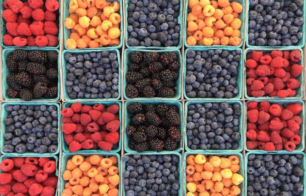 How to keep produce fresh longer: Tips on how to store your summer produce to avoid food waste, including delicate berries! | Cool Mom Eats