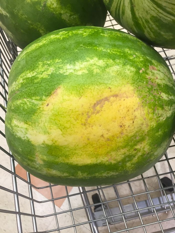 Tips for how to pick a watermelon that is perfectly ripe: Are those big yellow spots good or bad? You might be surprised! | Photo © Kate Etue for Cool Mom Eats