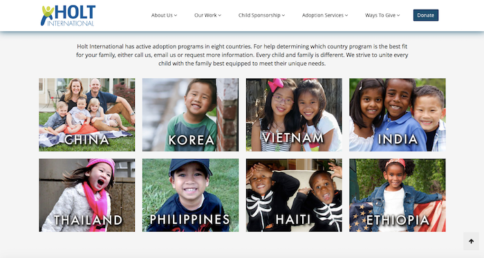 Important steps for starting an adoption: Decide if you want to adopt domestically or internationally.
