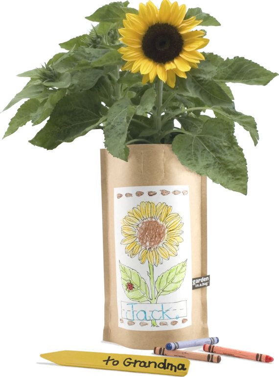 Non-candy Easter basket gifts: Sunflower Garden in a Bag by Potting Shed Creations