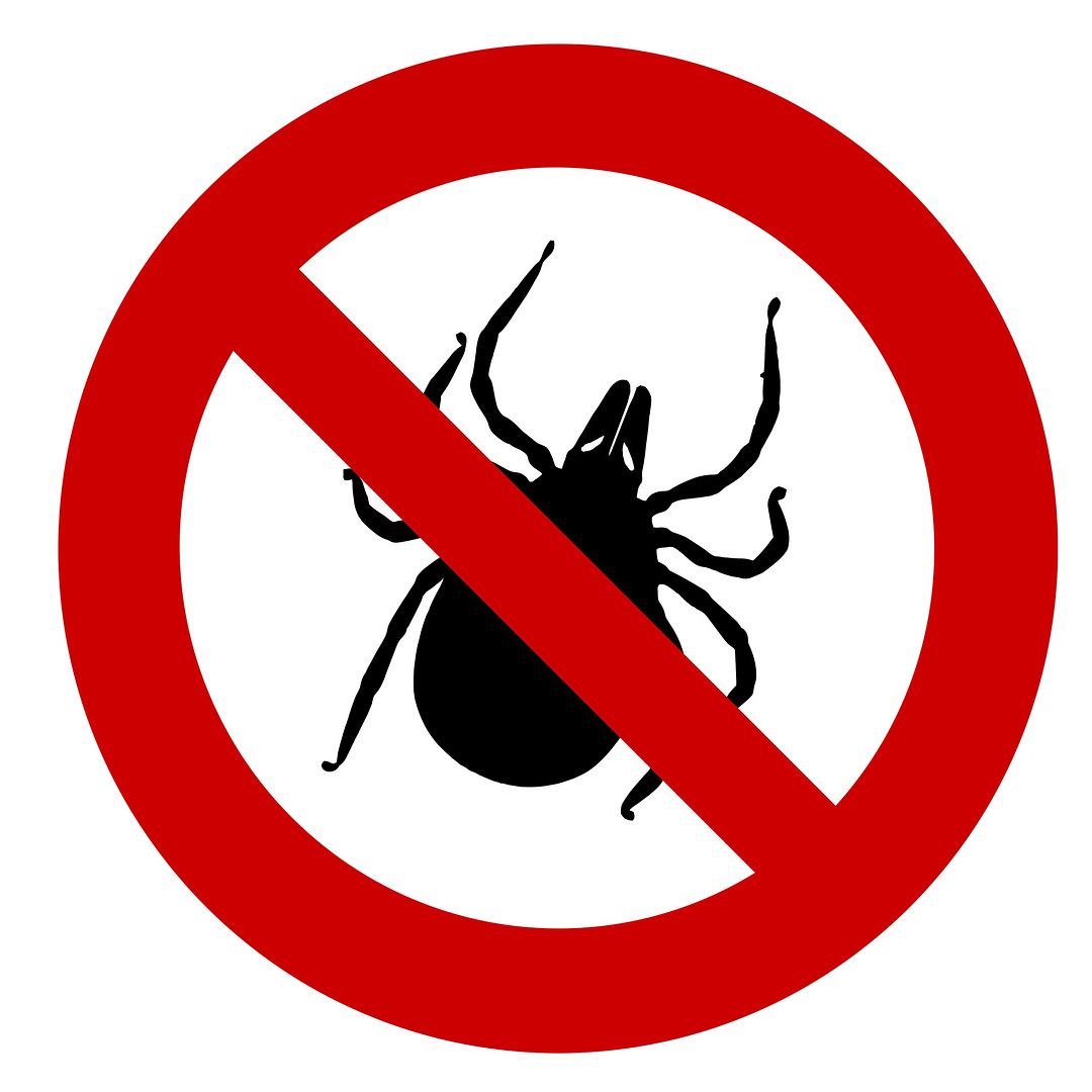 Removing ticks from kids -- easy, with this guide!