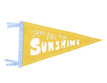 you are my sunshine pennant at strawberry moth | baby shower gift guide you are my sunshine pennant at strawberry moth | baby shower gift guide
