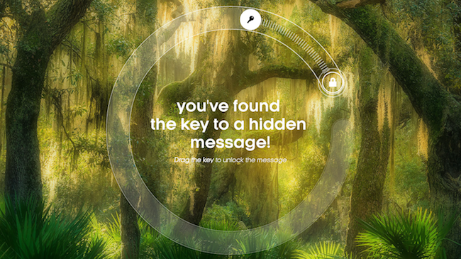 The more you watch on Attenborough's Story of Life nature documentary app, you'll unlock hidden messages with new, never-seen-before clips.